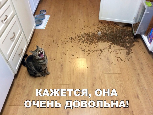 Немного милоты