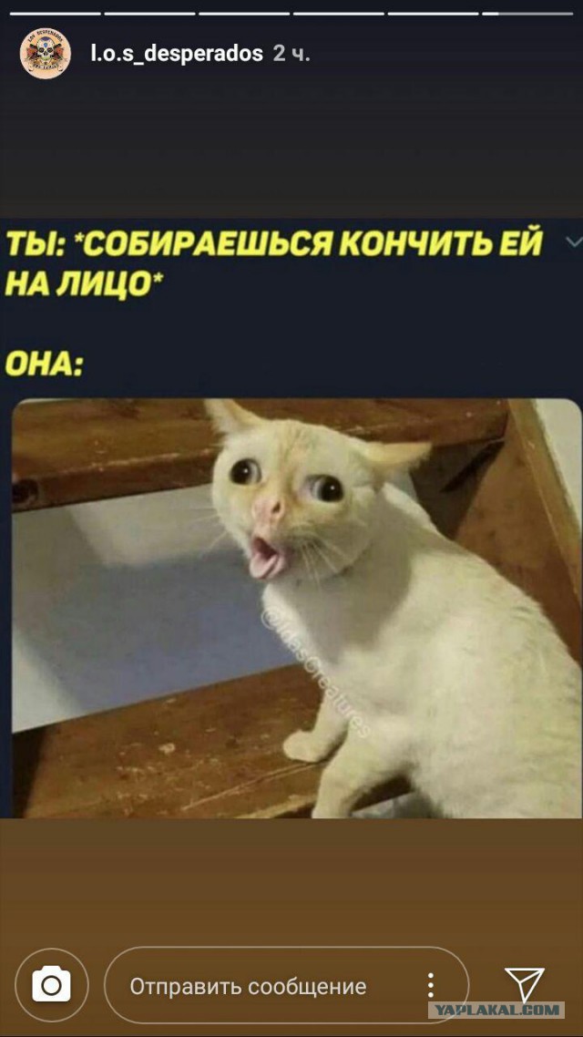 Сейчас немножко почернеет