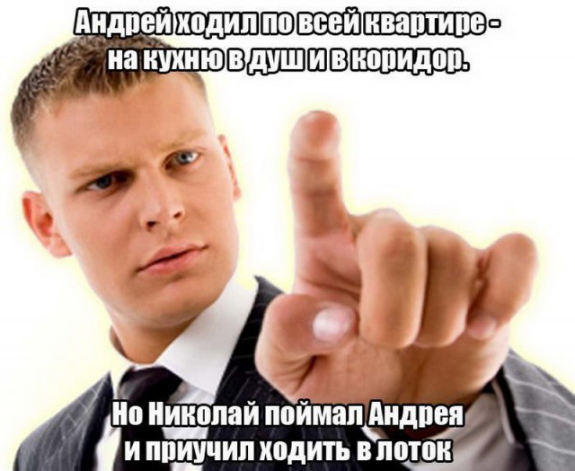 Как соблазнить девушку покачивая перьями на шляпах или рак мозгом заболееет