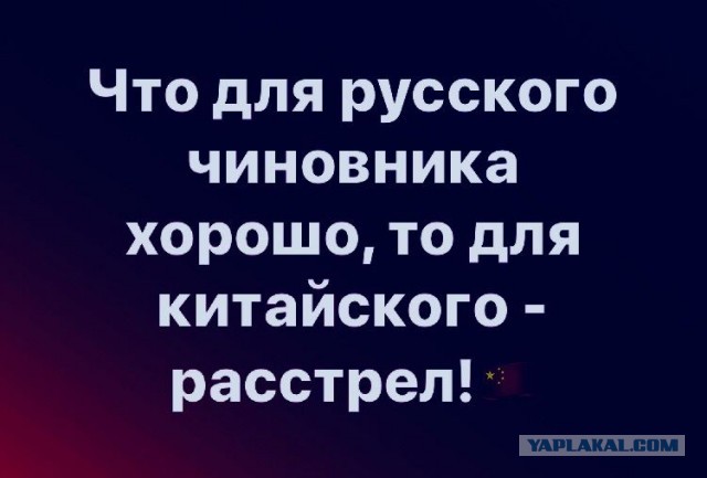 Обанкротился один из крупнейших хай-тек проектов России, получивший $1 миллиард госфинансирования