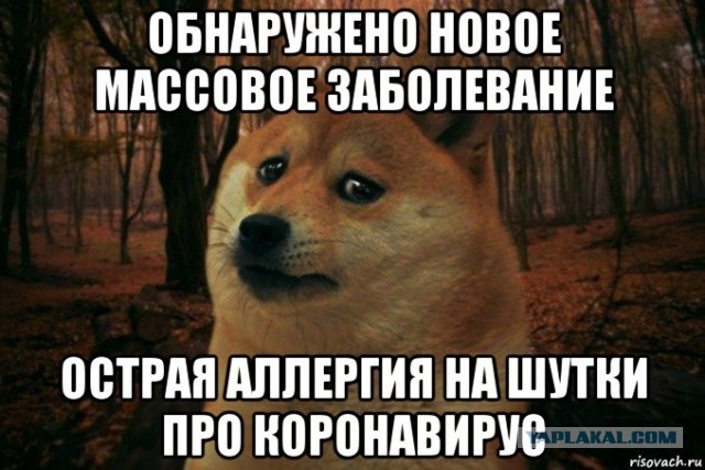 Коронавирус. Россия, мир и все-все. Часть 9