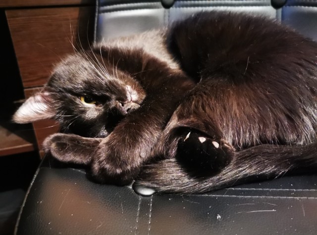 Котофеев пост