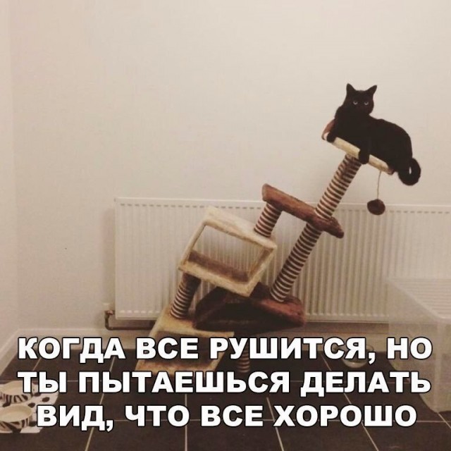 Чуток картинок 24.04.20