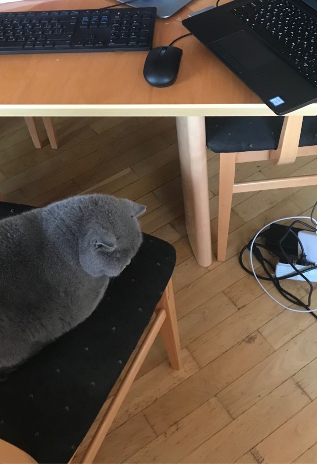 У кого что на работе стоит?