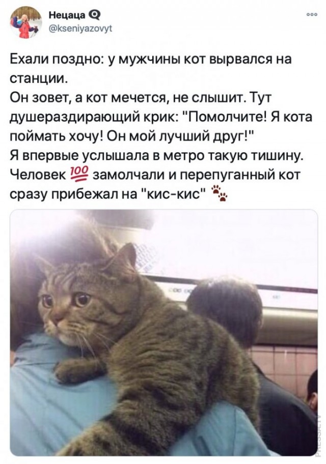 Картинки и мемы для настроения 007