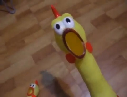 Волгоградцам под страхом штрафа запретили выращивать на дачах кур и пчел