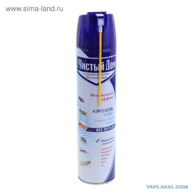 Я устал от Blattella germanica
