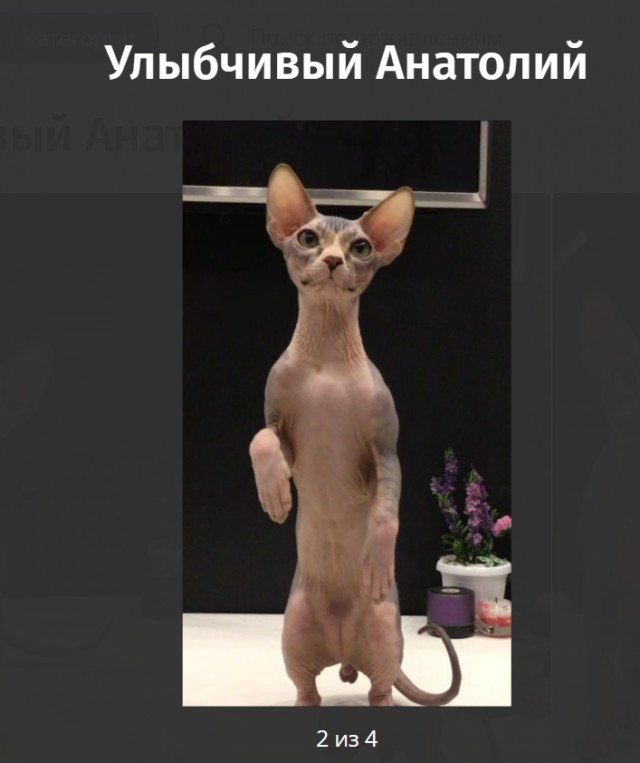 Футбол Спартак
