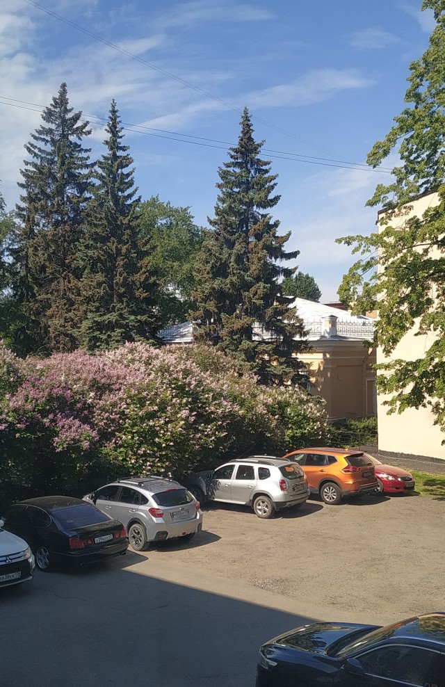 Продолжаю жить в Санкт-Петербурге