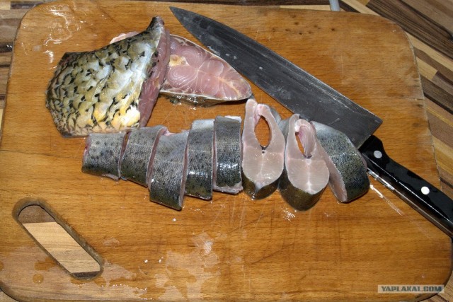 Все из рыбы!