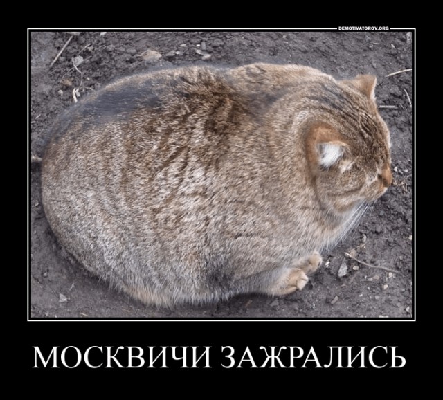 Майн кампф Собянина