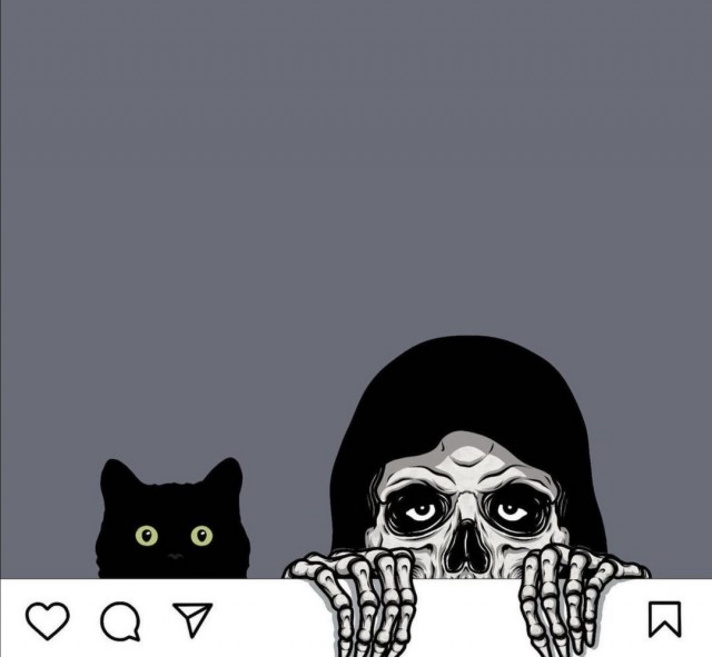 Котовторник так котовторник