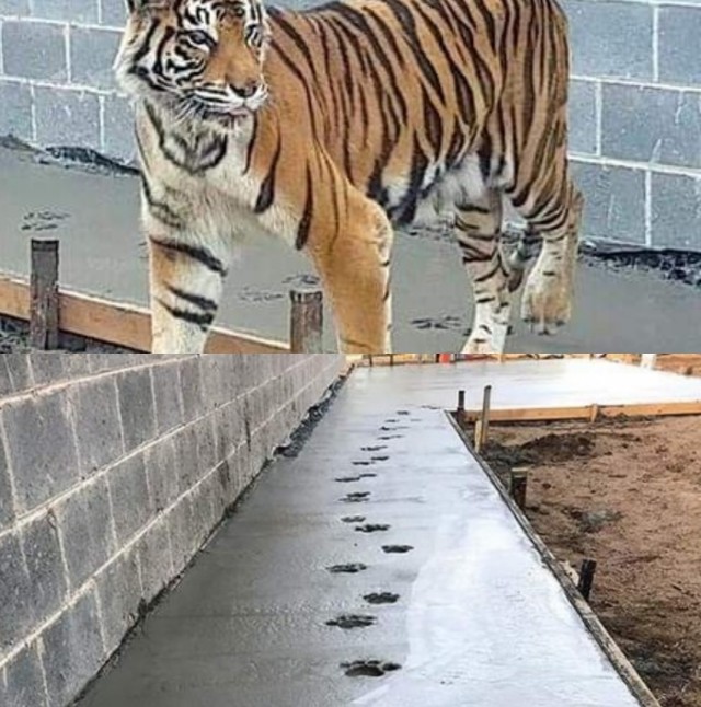 Классно залил стяжку