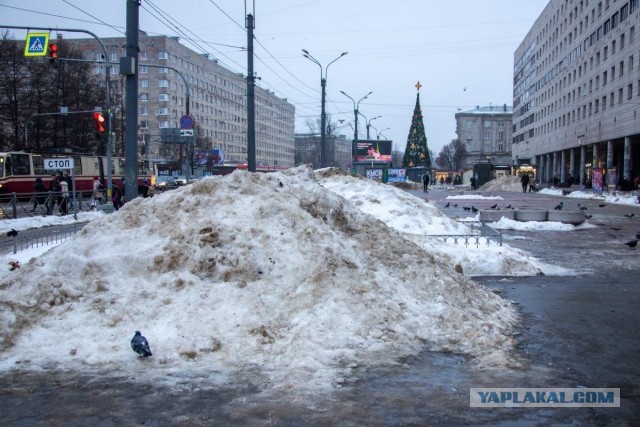 Новогодний Санкт-Петербург 2022