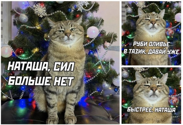 Всяческие картинки 17.01.2022