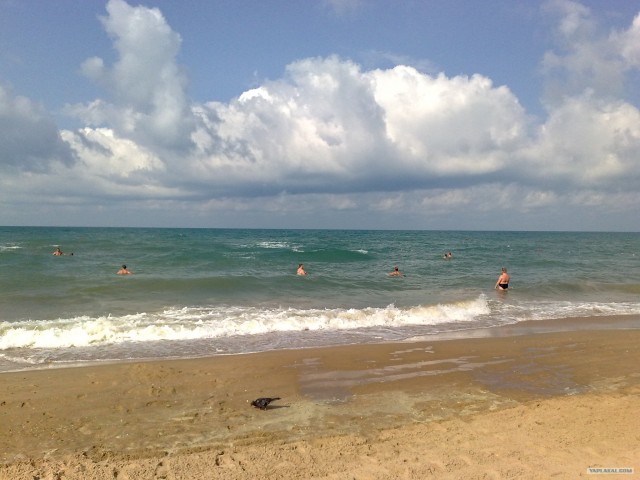 Пенза-Витязево-Пенза