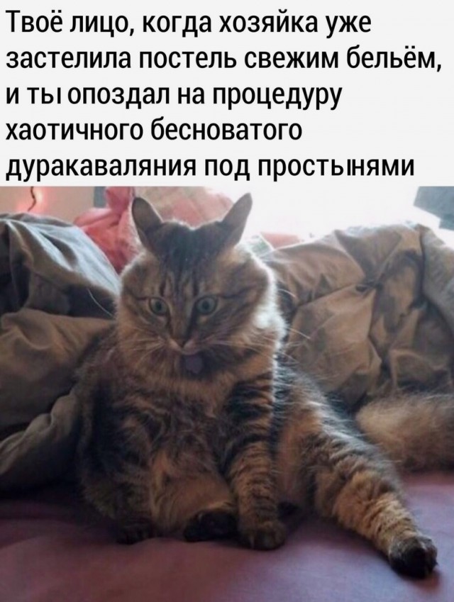 Так себе картинки 14.04.22