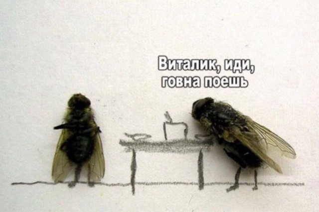 Картинки аморальные и всякие разные - 36