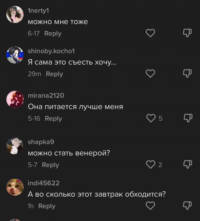 Хозяйка добермана показала обычный рацион своей собаки