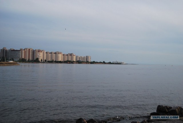 Питер. Вдарим по педалям