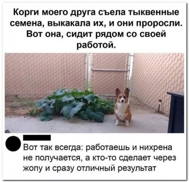 Скриншоты и комментарии из социальных сетей 16.09.22