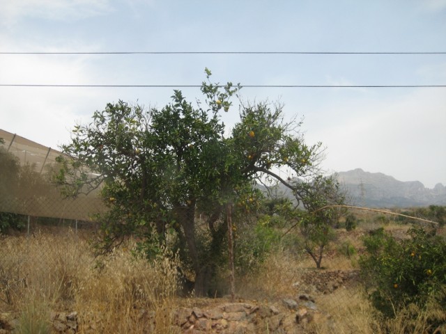 Испания - чудесная страна!