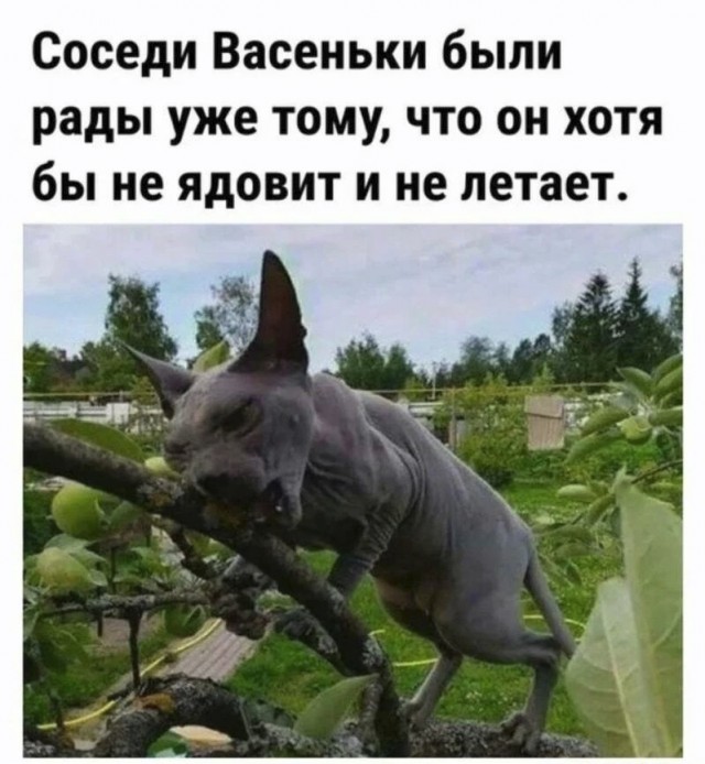Немного картинок и прочей хреноты Vol. 20