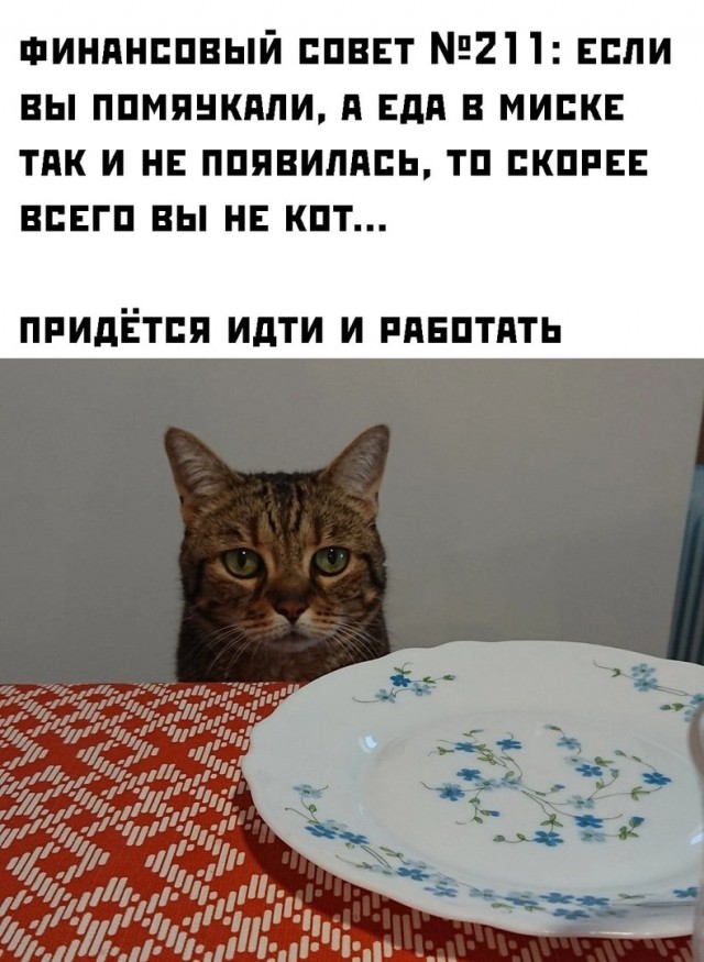 Местами суровая действительность (баяны)