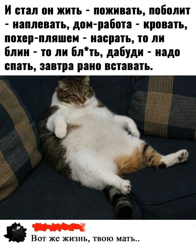 Так себе картинки 15.02.23