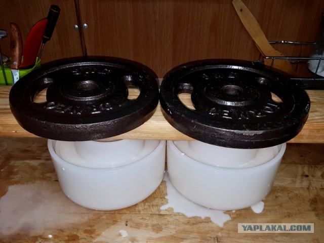 Сыр Маасдам