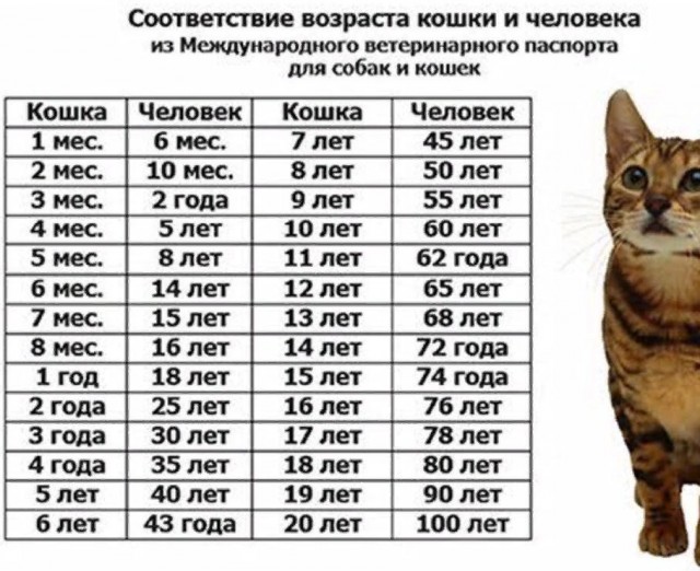 Долгожитель Дашун