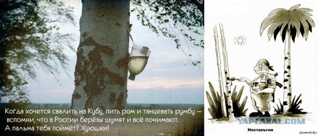 Картинки и мемы для настроения - 131