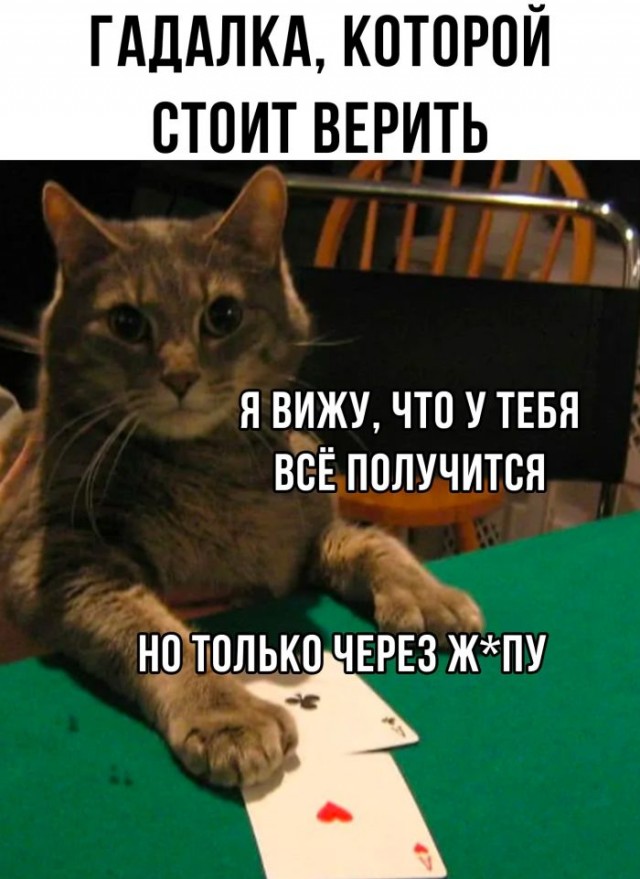 Немного картинок для настроения - 161