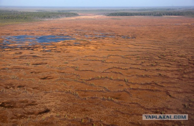 Сибирские перекрёстки