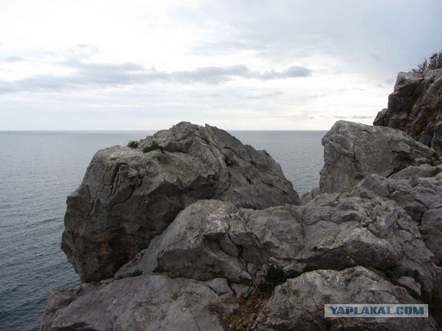 Крым в феврале или "Не стреляйте в белых лебедей!"