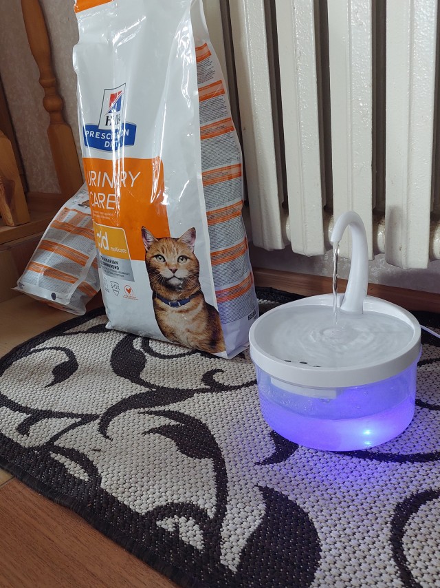 Кот - сухоглот