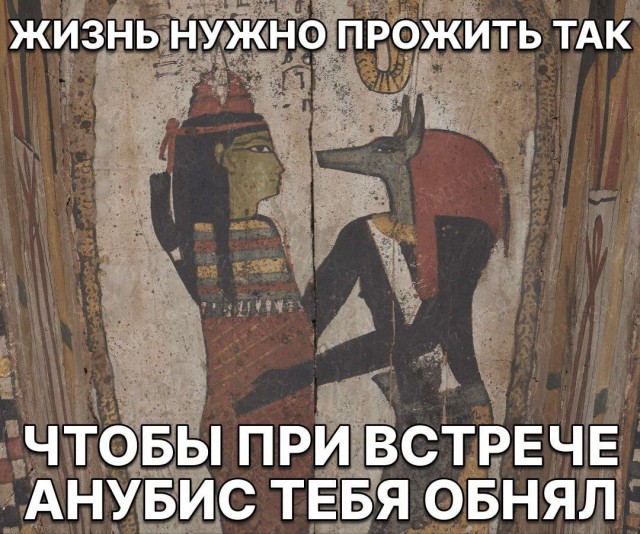 Народная меДИЧина 5011