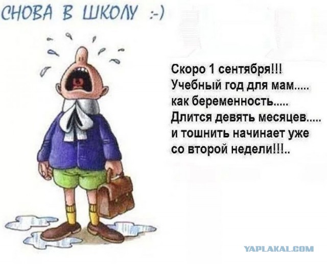 «Я могу быть невинной хоть сто раз». Капсулы девственности покорили Азию