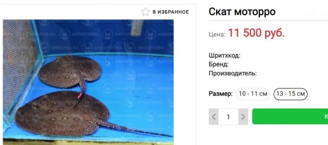 Рязань - Сасово из кабины машиниста