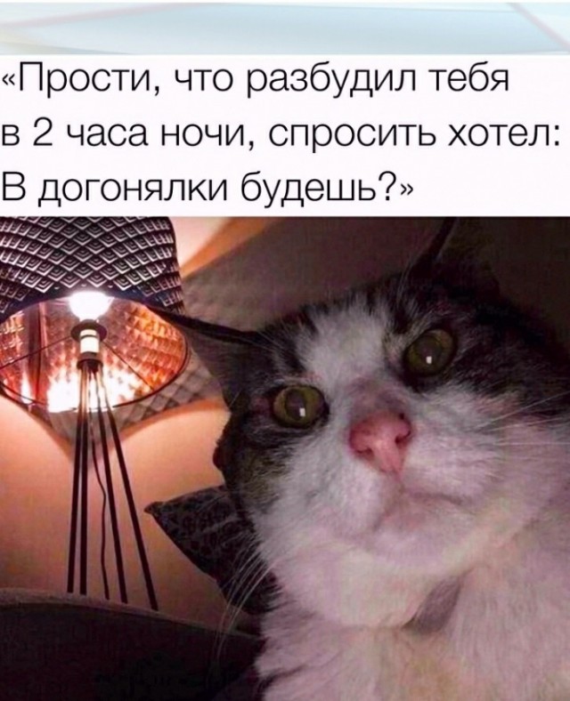 Добрые сказки