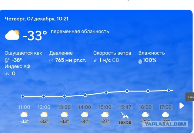 Утренний сюрприз