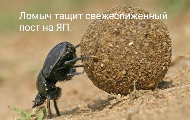 Да что ж за страна-то у нас такая?!