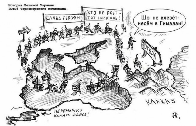 Букины предсказатели