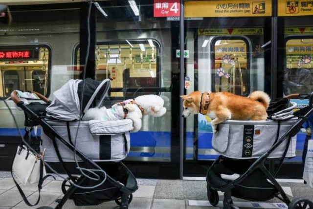 ФотоВинегрет