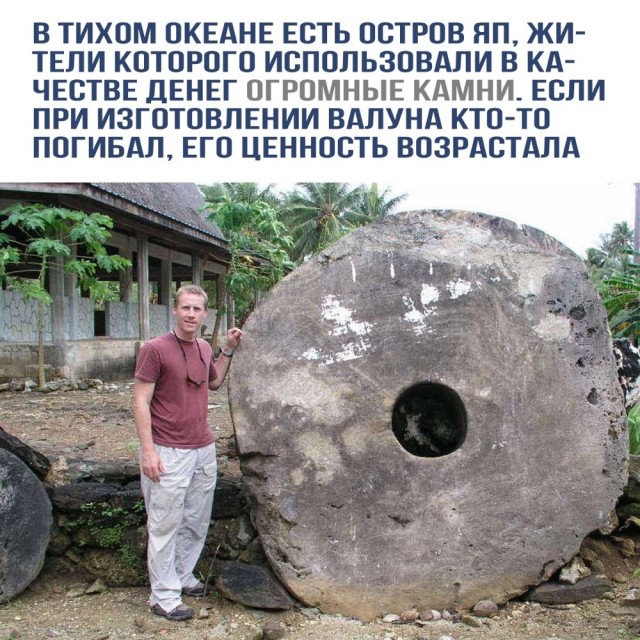 Потерпевших кораблекрушение людей спаcли благодаря надписи «Help», выложенной из пальмовых листьев