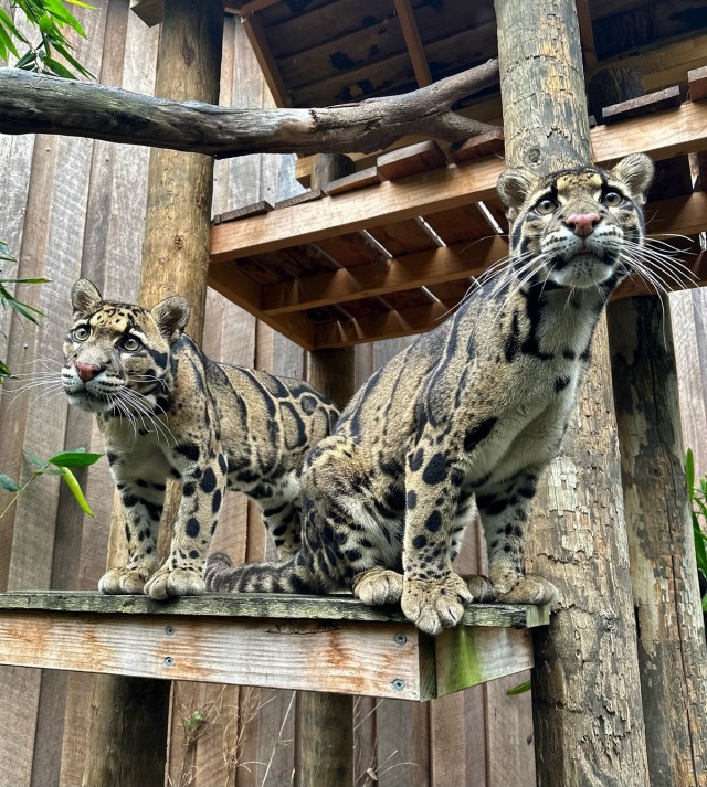 Подборка интересных и веселых картинок 17.04.24