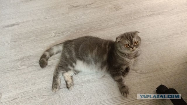 Доброе утро
