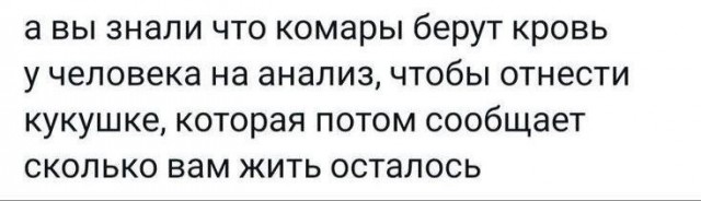 Завалялось тут случайно немного забавных картинок