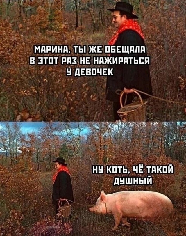 Веселые картинки к пятнице (09.08)