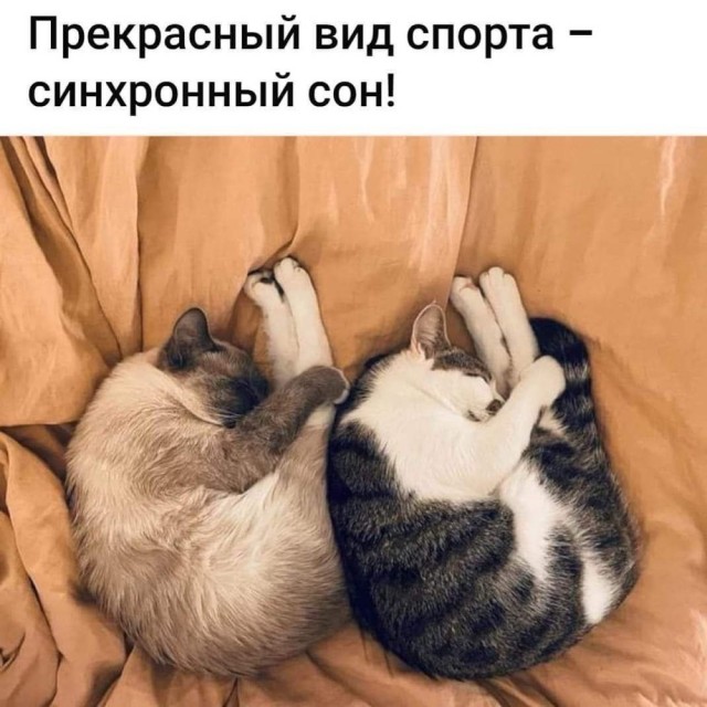Всего понемногу. От 23.08